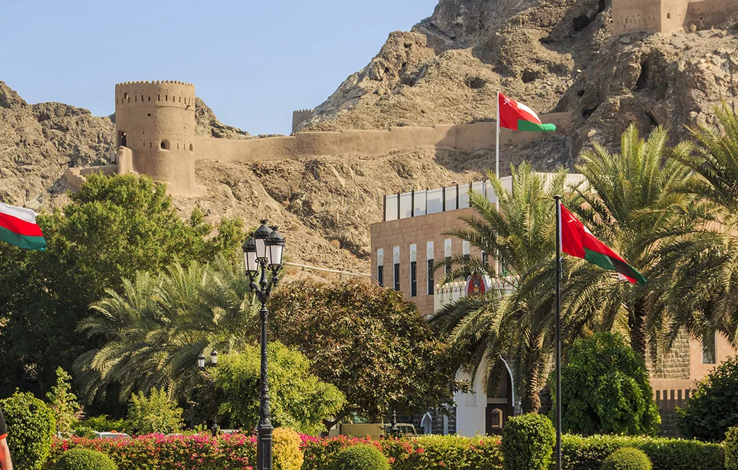 Market Opportunity Study across Oman